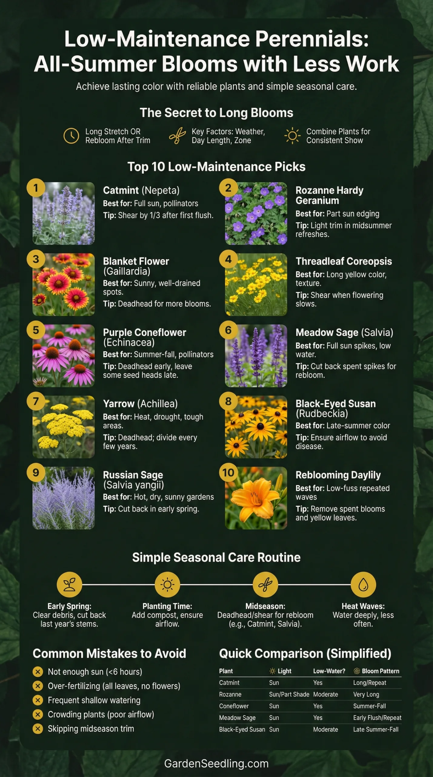 A vibrant border of low-maintenance perennial flowers blooming in a garden bed during summer.