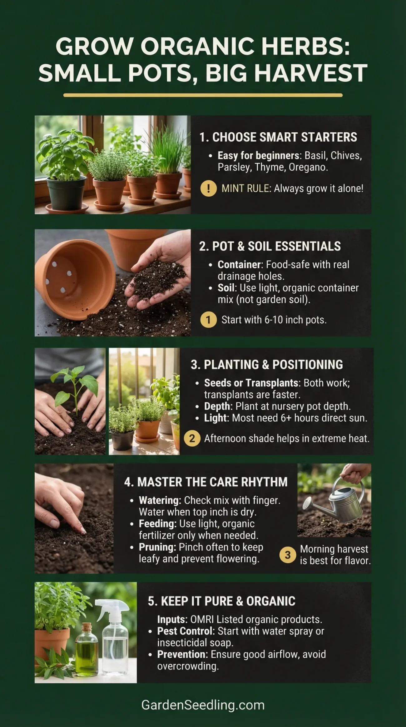 Small terracotta pots filled with green herbs on a garden table