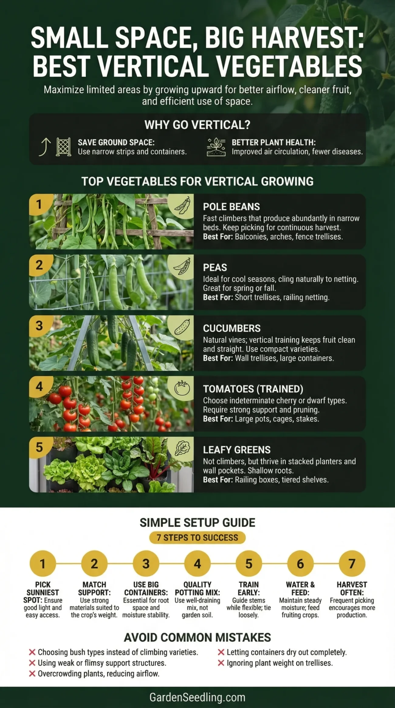 A lush green tomato plant growing vertically in a small garden space.