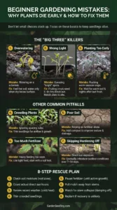 Common Beginner Gardening Mistakes That Kill Plants Early